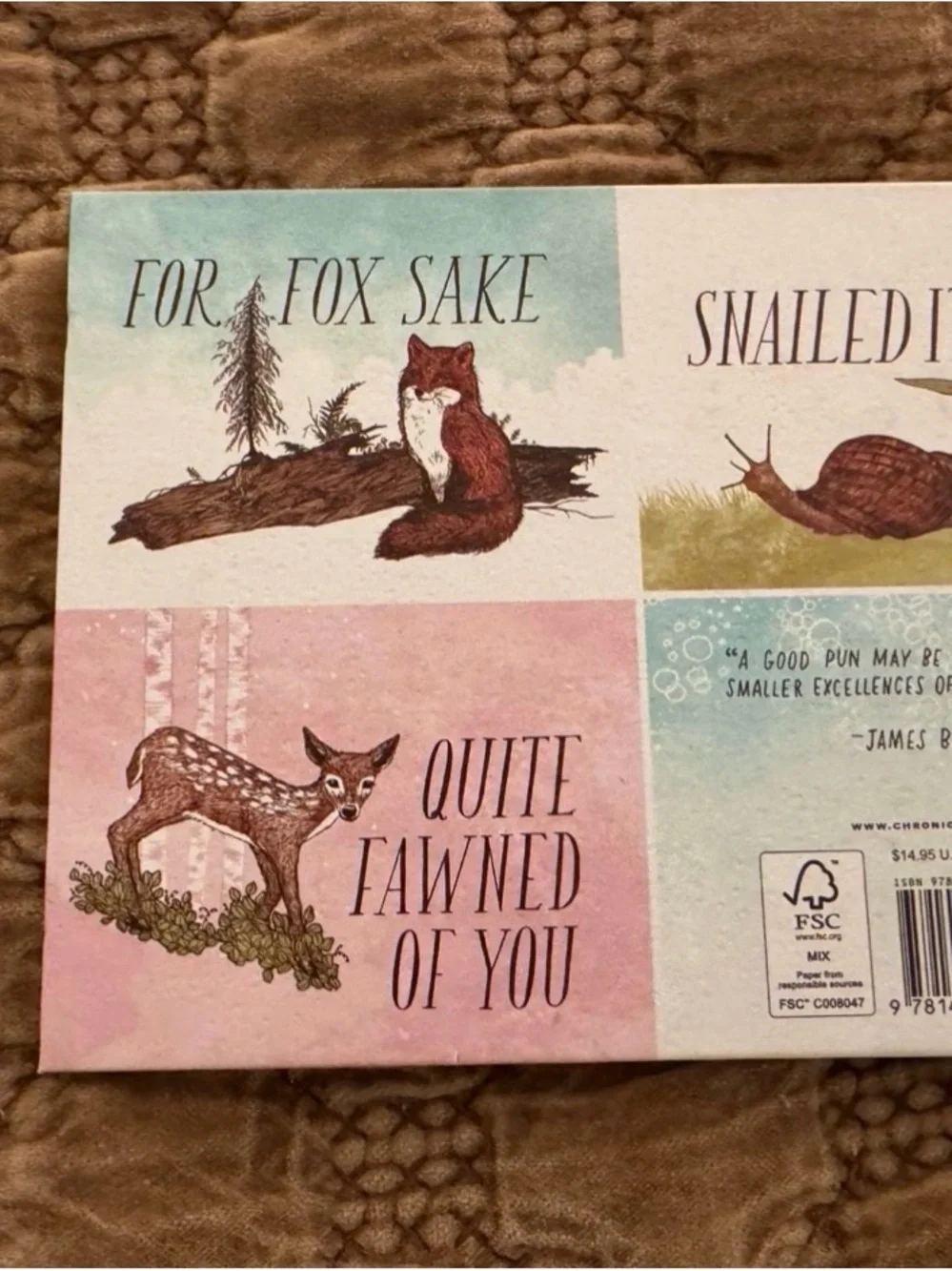 Have A Little Pun Illustrated Book - Whale Cover